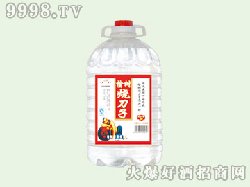 IܘӾ504.5L14-׾Ϣ