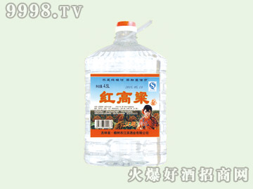 It504.5L14-׾Ϣ