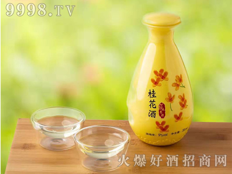 𻨾9300ml-خa(chn)Ϣ