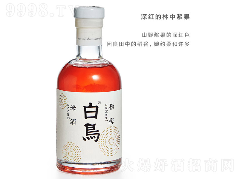 B÷Ŵ׾ƣƿ10 500ml