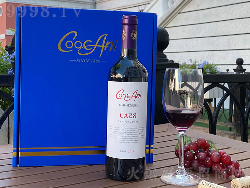 (k)CA28Ѿơ13 750ml