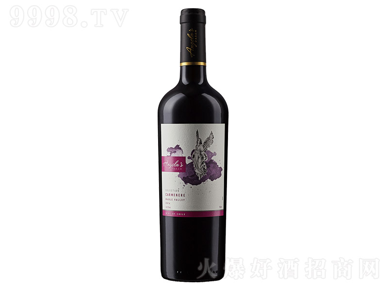 ʹ֮xȼtѾơ750ml