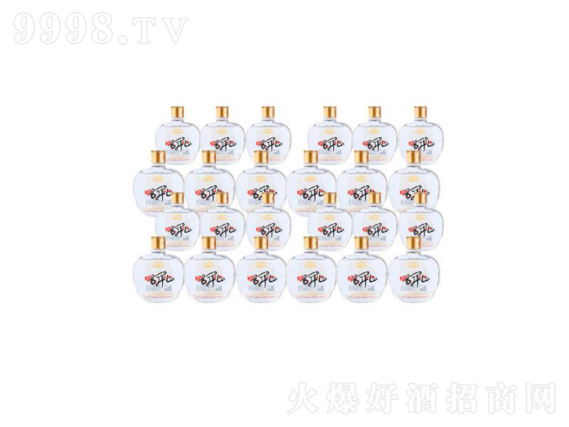 Ĵɏ_(ki)ĶСƿƝͼZʳ졾42100ml