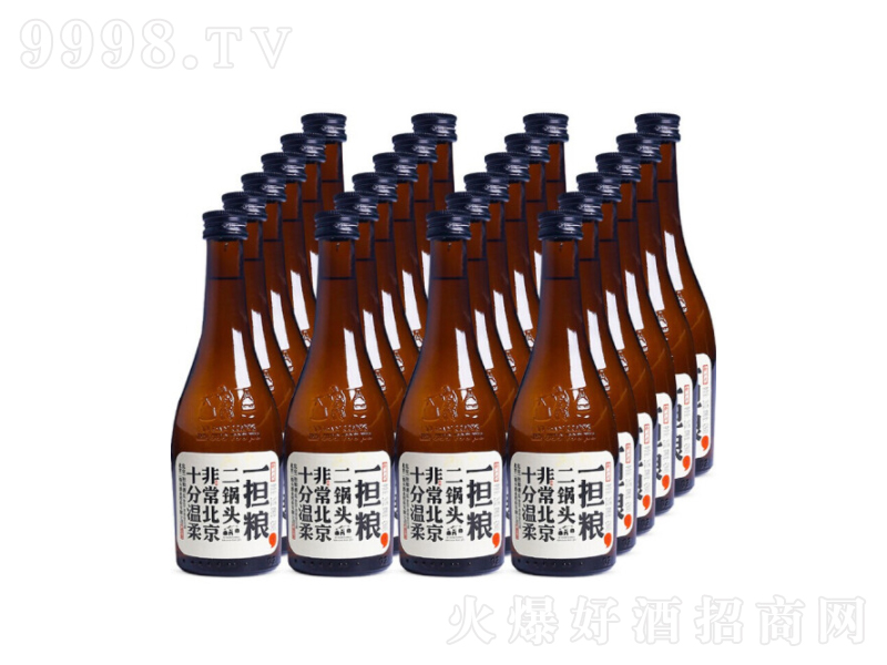 һ(dn)Z^(dn)˽(jng)С̖(ho)251ML