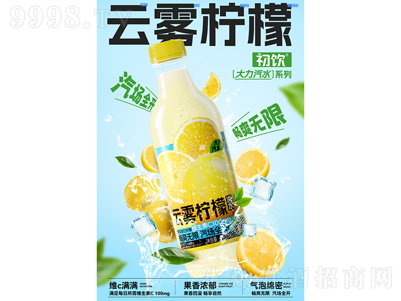 Fˮ490ml