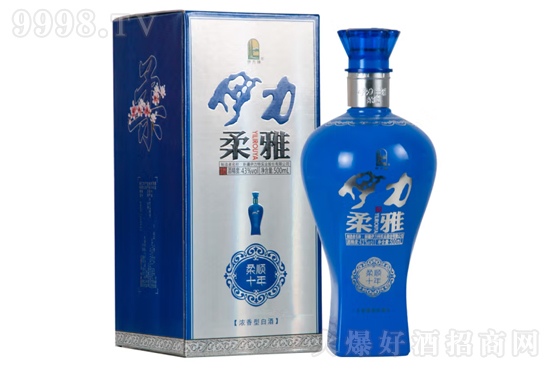 ž10 43500ml Ͱ׾ƃrX