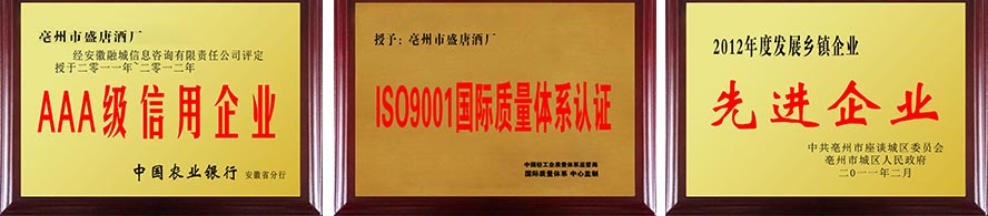 支持9