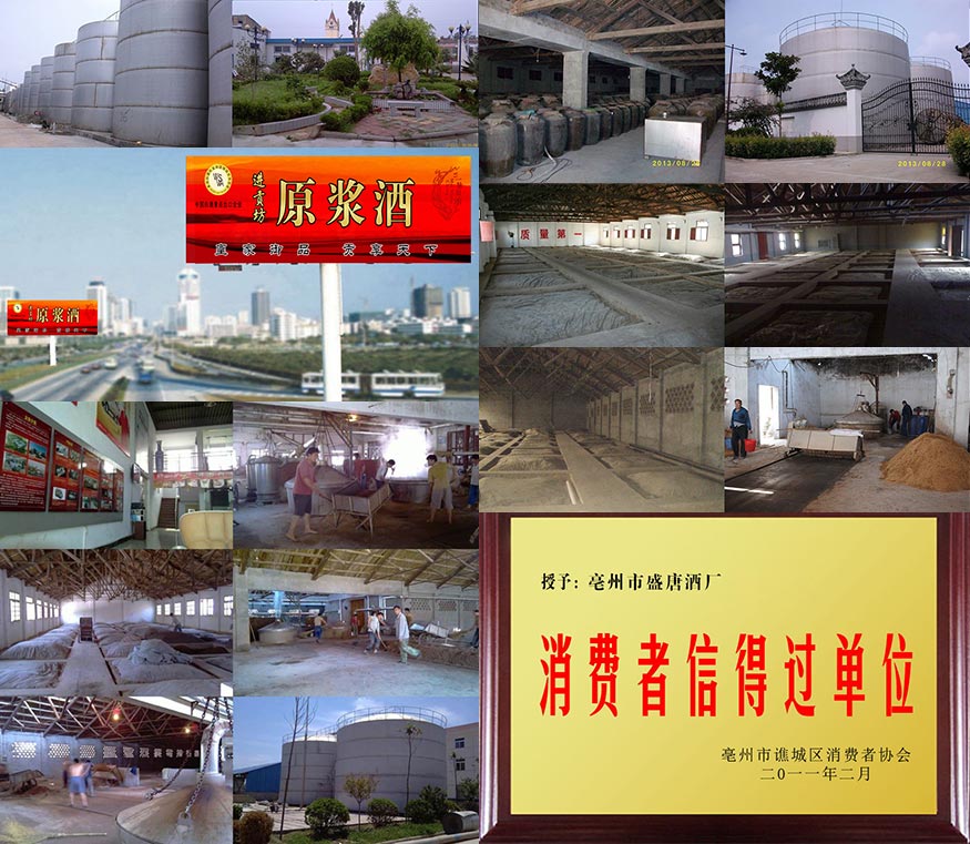 支持8