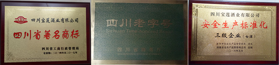山東齊國(guó)盛世酒業(yè)釀造有限公司